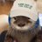 Terpenstein's profile image