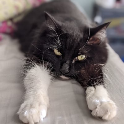 Rubymae10000's profile picture. human person