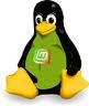 One who started loving Linux with Ubuntu 10.10 but has now moved to Arch Linux + XMonad and Linux Mint MATE, and has shamelessly fallen out of love with Ubuntu.