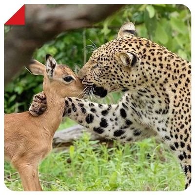 VinodKu30326019's profile picture. 🥰🥰🥰🥰🥰🥰