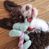 Wild Life (@rdurmon) 's Twitter Profile