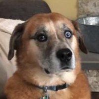 Gregg in KC (@ggginkc) 's Twitter Profile