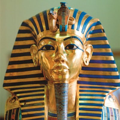 XplusMax's profile picture. 