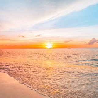 AyshaAh38603333's profile picture. ᵔ ᴥ ᵔ ♡ (◕‿◕) ♡ ʕっ• ᴥ • ʔっ♡