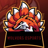 Wolver Esports (@wolver_esports) 's Twitter Profile