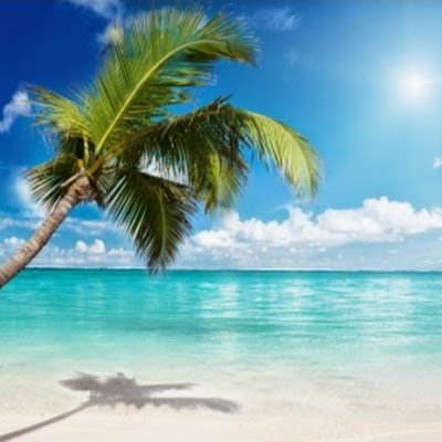 AndreiPotlog3's profile picture. Proud member of Stakeborg DAO