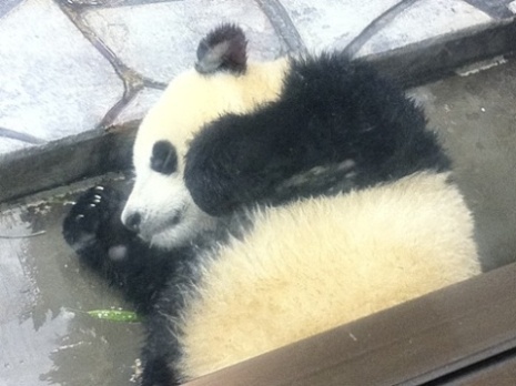 umeji036's profile picture. 