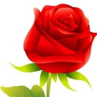 مني السعدون (@b02lrmry4ujtz5z) 's Twitter Profile