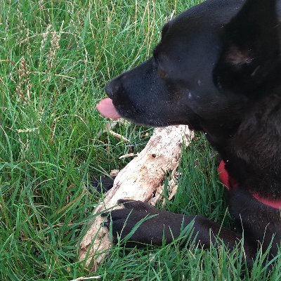 Joanna45856454's profile picture. 