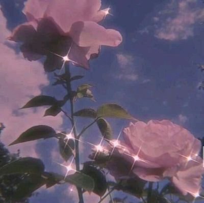 🌸 Profile