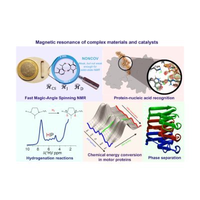 Solid-State NMR of Complex Materials and Catalysts Profile