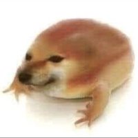 TotorPotate (@totorpotate) 's Twitter Profile Photo TotorPotate (@totorpotate) 's Twitter Profile Photo