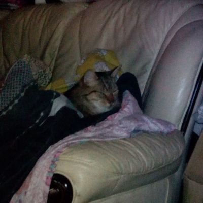 ballsrburstin's profile picture. 53 year old male.... who loves to watch women of all shapes and sizes cumming hard 💦💦