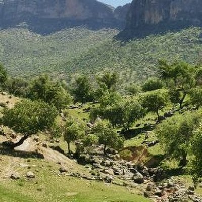 HojtNazari's profile picture. 