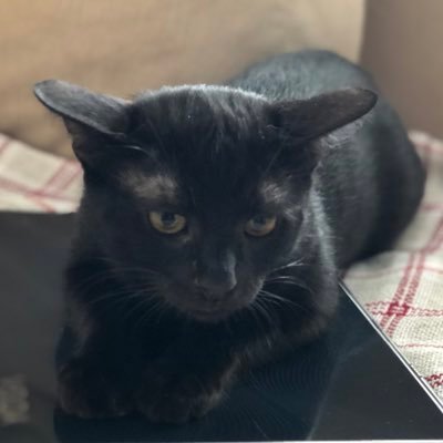 mazur2712's profile picture. 