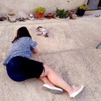 Cíntia (@carabassetaenou) 's Twitter Profile Photo