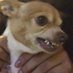 Lisseth Sanchez cuenca (@lisseth54242982) Twitter profile photo Lisseth Sanchez cuenca (@lisseth54242982) Twitter profile photo