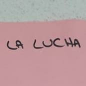 Pini00152919's profile picture. Locura intensa