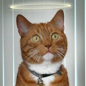 6851cf3c's profile picture. The Industrial Revolution and its consequences have been a big yikes moment for the humxn race.