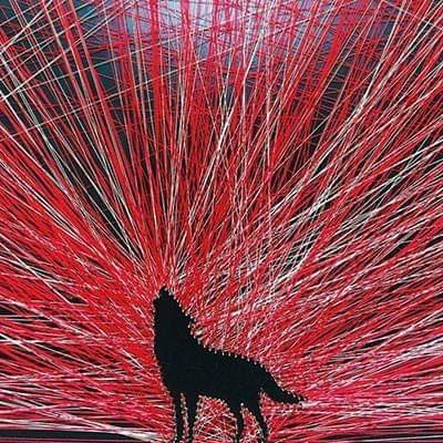 DenHartogSTIRlb's profile picture. Professor Clothing Physiology, Personal Protection (PPE)and Textile Testing