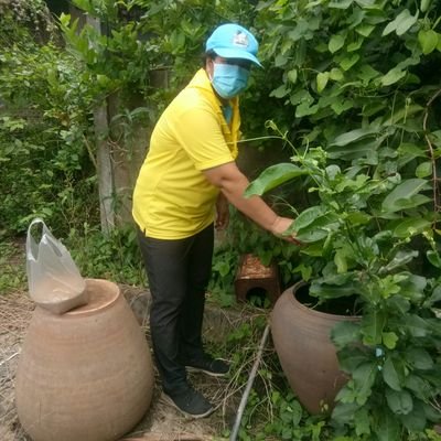 su_net11's profile picture. 