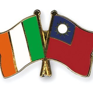 Raising awareness about Taiwan in Ireland | 在愛爾蘭提高對台灣的認識 🇹🇼🇮🇪 台灣加油！