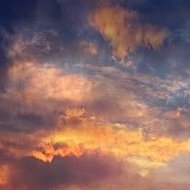 euglena777's profile picture. 成人済 審神者 🥷🥚 ファイターズ応援中📣 チキンゆえ無言フォローお許しください