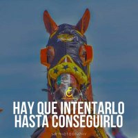 Jose Gamez (@josegam16901819) 's Twitter Profile