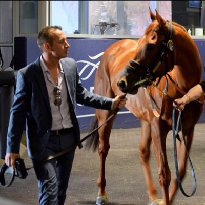 I train horses spend my winters in Florida and love my Toronto teams and taking pictures Instagram:https://t.co/YSc9OkTEL6