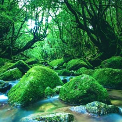 八イフン-さんのプロフィール画像