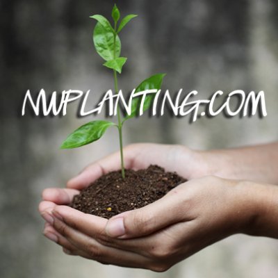 nwplanting Profile Picture