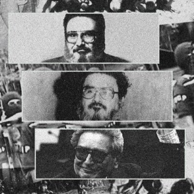 mxozedong's profile picture. En/Fr/Hi