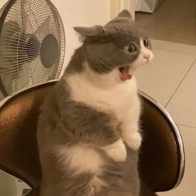 P9397bam's profile picture. GoT7