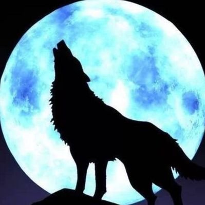 WagrMiBFPXHiHS9's profile picture. 