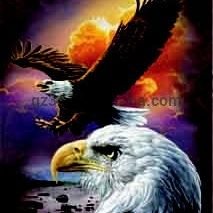 ioelcortes's profile picture. 