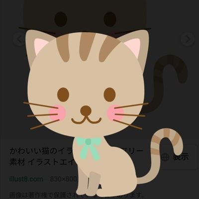 こんにちは😊　aikoとねこが大好きです‼️　aikoのライブにたくさん行きたくてチケット用のアカウントを作りました。お返事等はなるべく早くさせていただきます。宜しくお願い致します✨