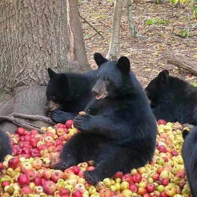 markhalex's profile picture. 