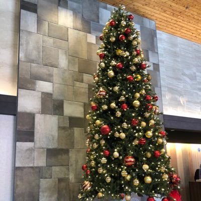 take_tm's profile picture. 会社員，3児の母。 生活クラブ組合員 マドレボニータ応援
