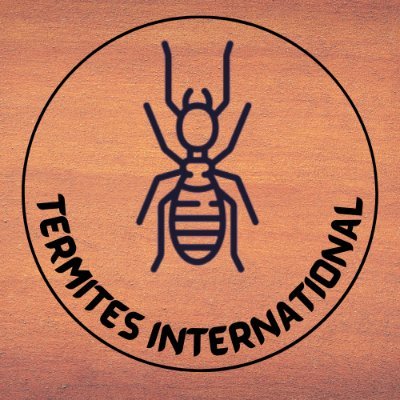 Hello I'm an Ant and Termite keeper from Srilanka. I love to study social insects and mainly Termites. I also go by Termites International in YT :)