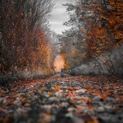 poeng26's profile picture. 