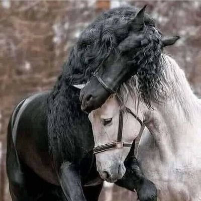 ad_albusidi's profile picture. ‏‏‏ 💙سبحان الله وبحمده سبحان الله العظيم 🌴