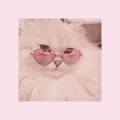 Nahymi_wattpad's profile picture. Wattpad lover📎❤️
