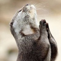 Jim Carl (@crypto_carlyx) 's Twitter Profile