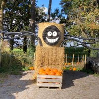 Coleby PYO Pumpkins (@colebypyo) 's Twitter Profile Photo Coleby PYO Pumpkins (@colebypyo) 's Twitter Profile Photo