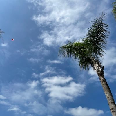 ff18296229's profile picture. 没有立场，只讲是非