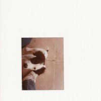 kopi susu (@bttyha) 's Twitter Profile