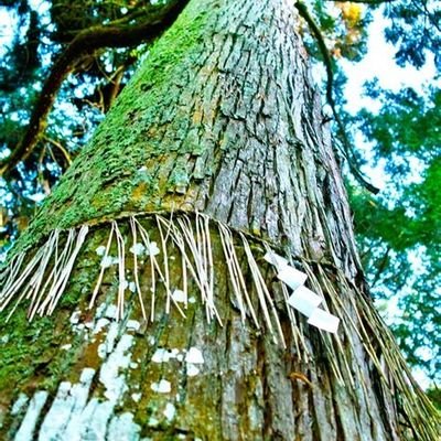 www_ht2ps's profile picture. 