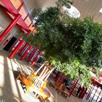 Lycée François Villon, le LFV de Beaugency (@lfvbeaugency) 's Twitter Profile