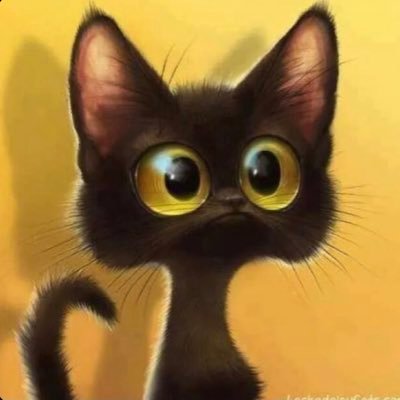 pokahontas_13's profile picture. you know my name not my story