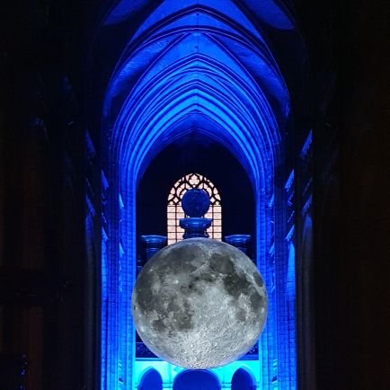 GianottiDavid's profile picture. #cro